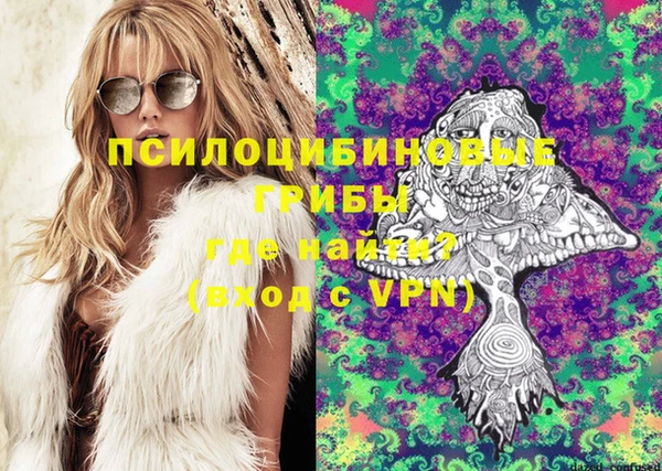 молекула духа Балахна