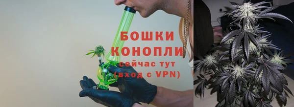 гидропоника Белокуриха