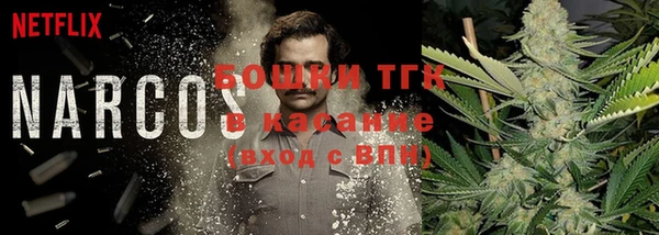 молекула духа Балахна
