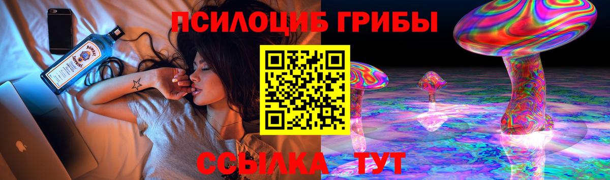 Псилоцибиновые грибы Psilocybe Губкинский