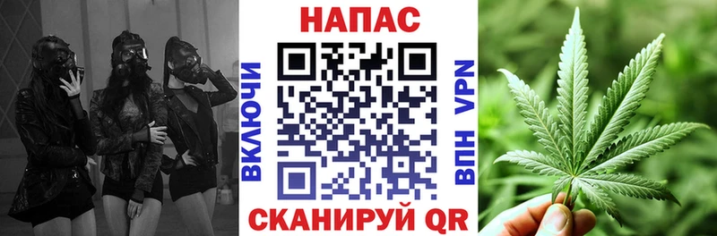 Шишки марихуана план  Губкинский 